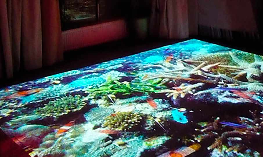 Interaktivní podlaha rybičky